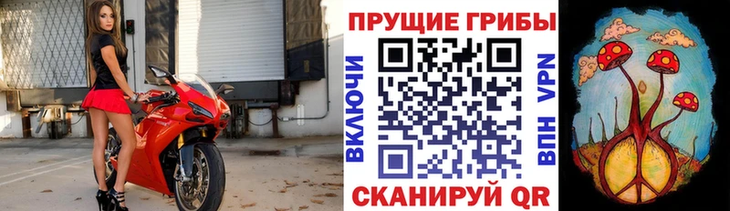 Псилоцибиновые грибы ЛСД  даркнет состав  Елизаветинская 